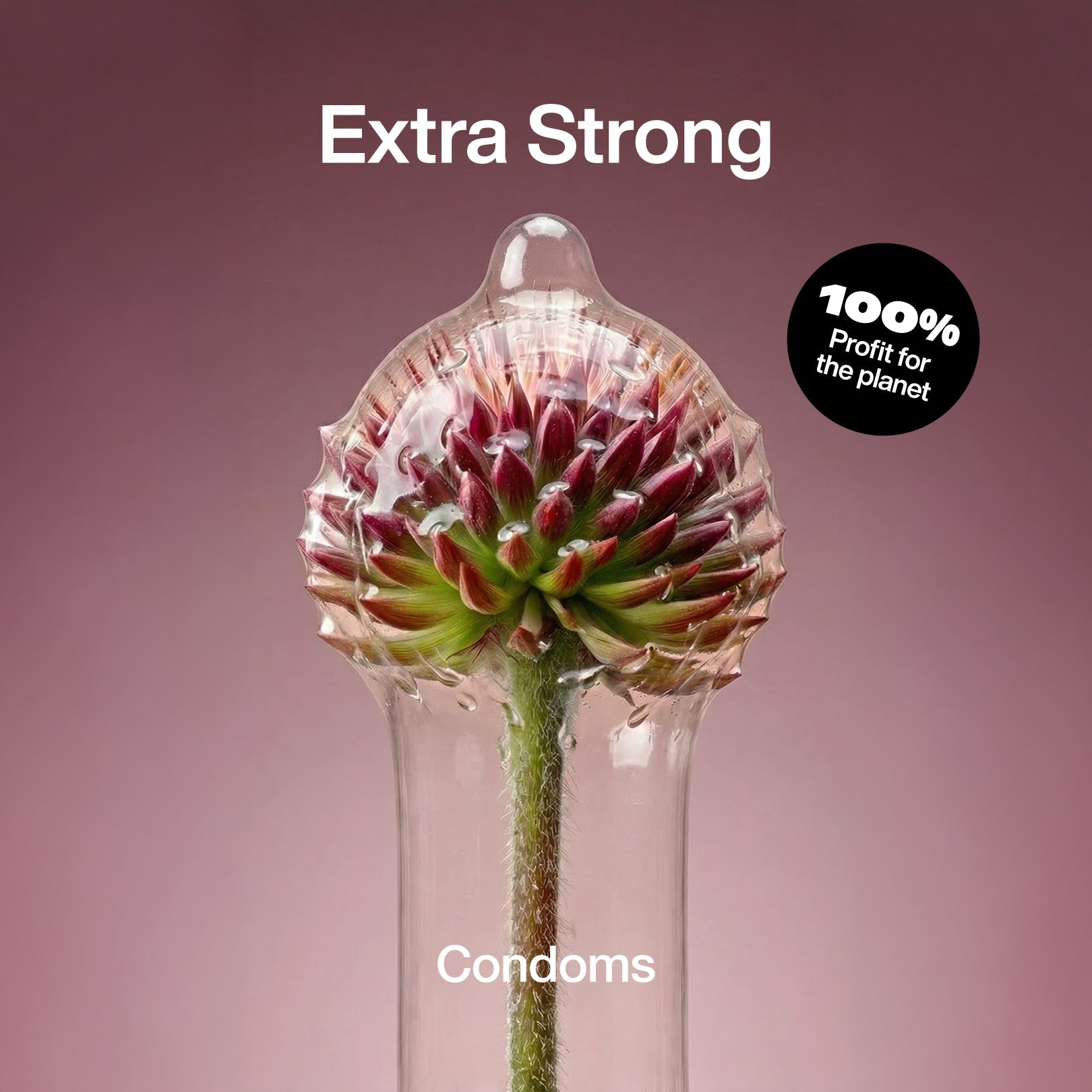 Extra Strong Condoms - Climax Change