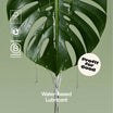 Water-based Lube - Climax Change