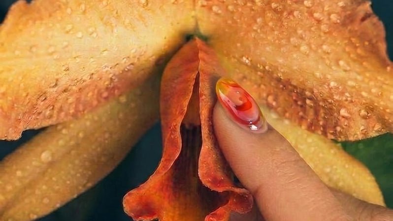 New perspectives on climaxing - Climax Change