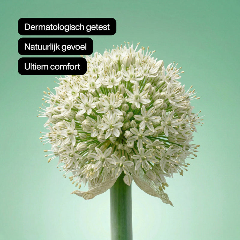 Classic Natural Condooms - Regular
