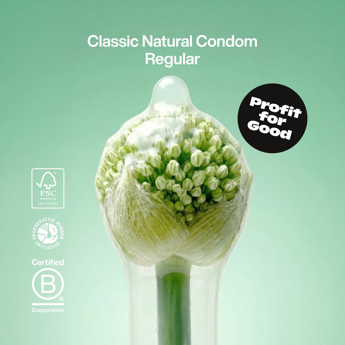 Classic Natural Condoms - Regular - Climax Change