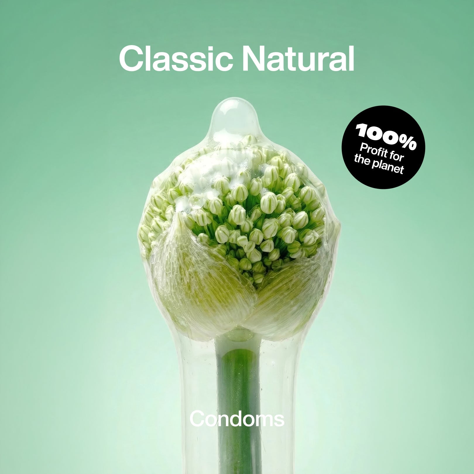 Classic Natural Condoms - Slim - Climax Change