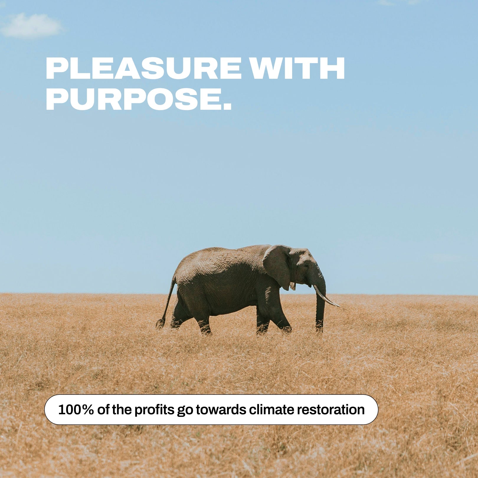 Extra Large Condoms - Climax Change