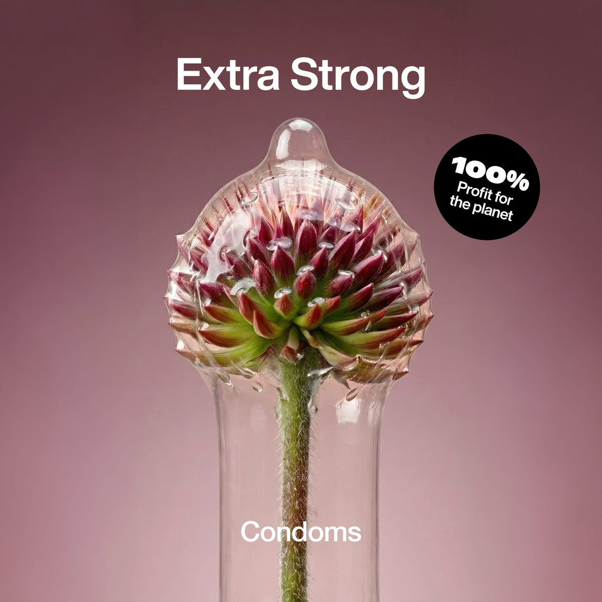 Extra Strong Condoms - Thicker Protection | Climax Change