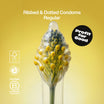 Ribbed Condoms - Climax Change