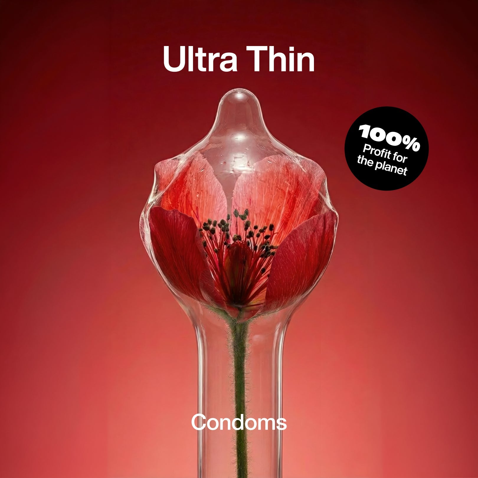 Ultra Thin Condoms - Regular - Climax Change