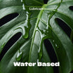 Water - based Lube - Climax Change
